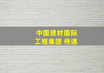 中国建材国际工程集团 待遇